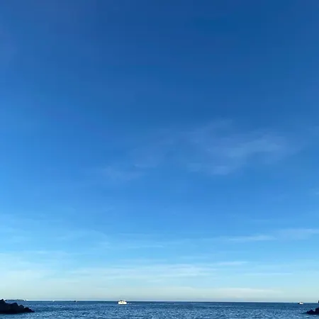 Agreable T2 Renove, Centre, Suquet, Plages דירה