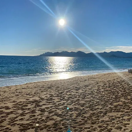 Agreable T2 Renove, Centre, Suquet, Plages Apartment Cannes
